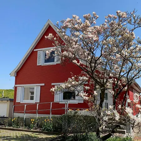 Seehotel Neue Liebe